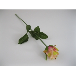 KR1 Róża Pojedyncza col:#9