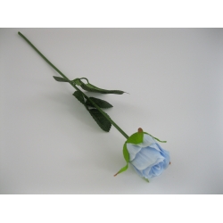 KR1 Róża Pojedyncza col: 1