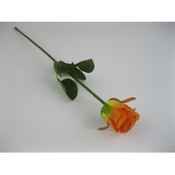 KR1 Róża Pojedyncza col:#65