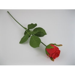 KR1 Róża Pojedyncza col: RED