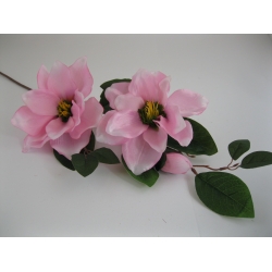 RX6168 Magnolia x 3  85 cm col:G