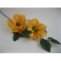 RX6168 Magnolia x 3  85 cm col:E