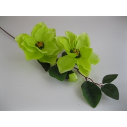 RX6168 Magnolia x 3  85 cm col:A