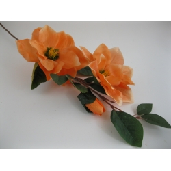 RX6168 Magnolia x 3  85 cm col:D