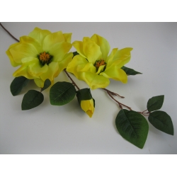 RX6168 Magnolia x 3  85 cm col:F