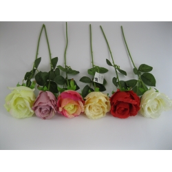 KR2 Róża pojedyncza col. CREAM, 60 cm