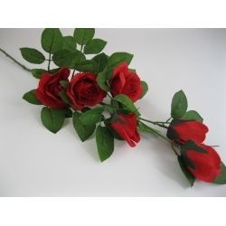 HL415 Róża Diana x 6  85 cm Col:RD001