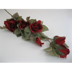 HL414 Róża Diana x 6  85 cm Col:RD333