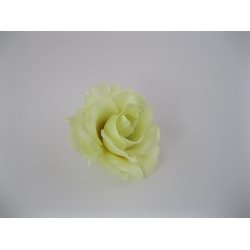22ZW01 Róża Col:C661  11 cm