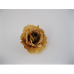 22ZW01 Róża Col:CH050  11 cm