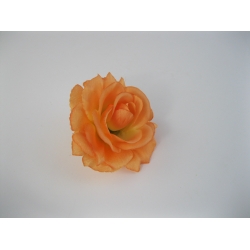 22ZW01 Róża Col:PH135  11 cm