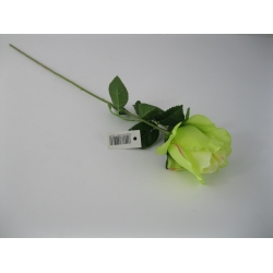 HY20-7 Róża 52 cm Col: 13