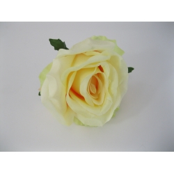 DL20-1 Róża 12 cm Col:47