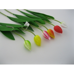 FCX014 Tulipan Piankowy 50 cm MIX