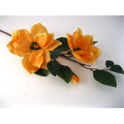 RX6168 Magnolia x 3  85 cm col:L