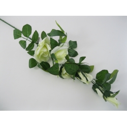HL415 Róża Diana x 6  85 cm Col:CR461