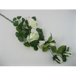 HL415 Róża Diana x 6  85 cm Col:C5