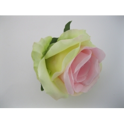 DL20-1 Róża 12 cm Col: 36