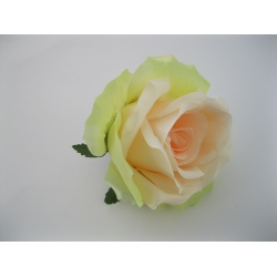 DL20-1 Róża 12 cm Col: 5