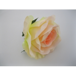 DL20-1 Róża 12 cm Col: 24