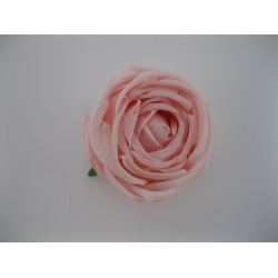 81-19 Peonia Col: pink, 9 cm