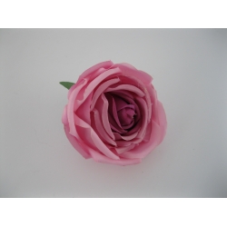 81-19 Peonia Col: dk pink, 9 cm