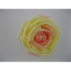 81-19 Peonia Col: yellow/pink, 9 cm