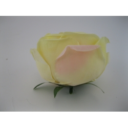 81-19 Peonia Col: yellow/pink, 9 cm
