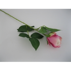 HY20-7 Róża 52 cm Col: 95
