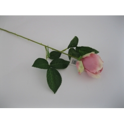 HY20-7 Róża 52 cm Col: 102