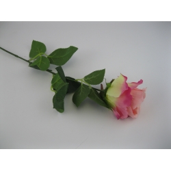 KS003 Róża Pojedyncza col: 6, 72cm