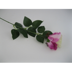KS003 Róża Pojedyncza col: 1, 72cm