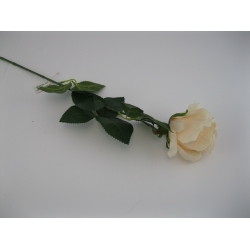 KS003 Róża Pojedyncza col: 8, 72cm
