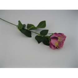 KS003 Róża Pojedyncza col: 9, 72cm