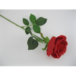 KR2 Róża pojedyncza col. RED, 60 cm