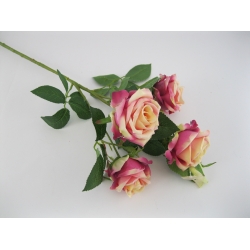 YFS029 Róża x 4, MIX KLON 1 x 6, 64 cm