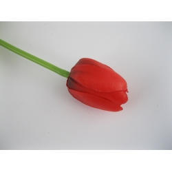 2020111543 Tulipan pojedynczy gumowy, 39cm, col.: orange