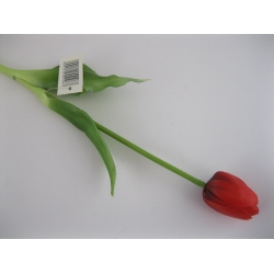 2020111543 Tulipan pojedynczy gumowy, 39cm, col.: red