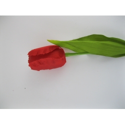 1589 Tulipan pojedynczy duży, mix x 6, 65 cm