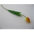 FCX014 Tulipan Piankowy 50 cm MIX