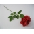 FKRL007 Róża Pojedyncza Mix 65 cm