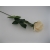 KS003 Róża Pojedyncza col: 8, 72cm