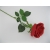 KR2 Róża pojedyncza col. RED, 60 cm