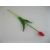 KR003 Tulipan pojedynczy gumowy, mix x 4, 43 cm